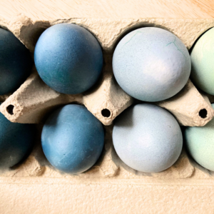 Eier in verschiedenen Blautönen sowie grün